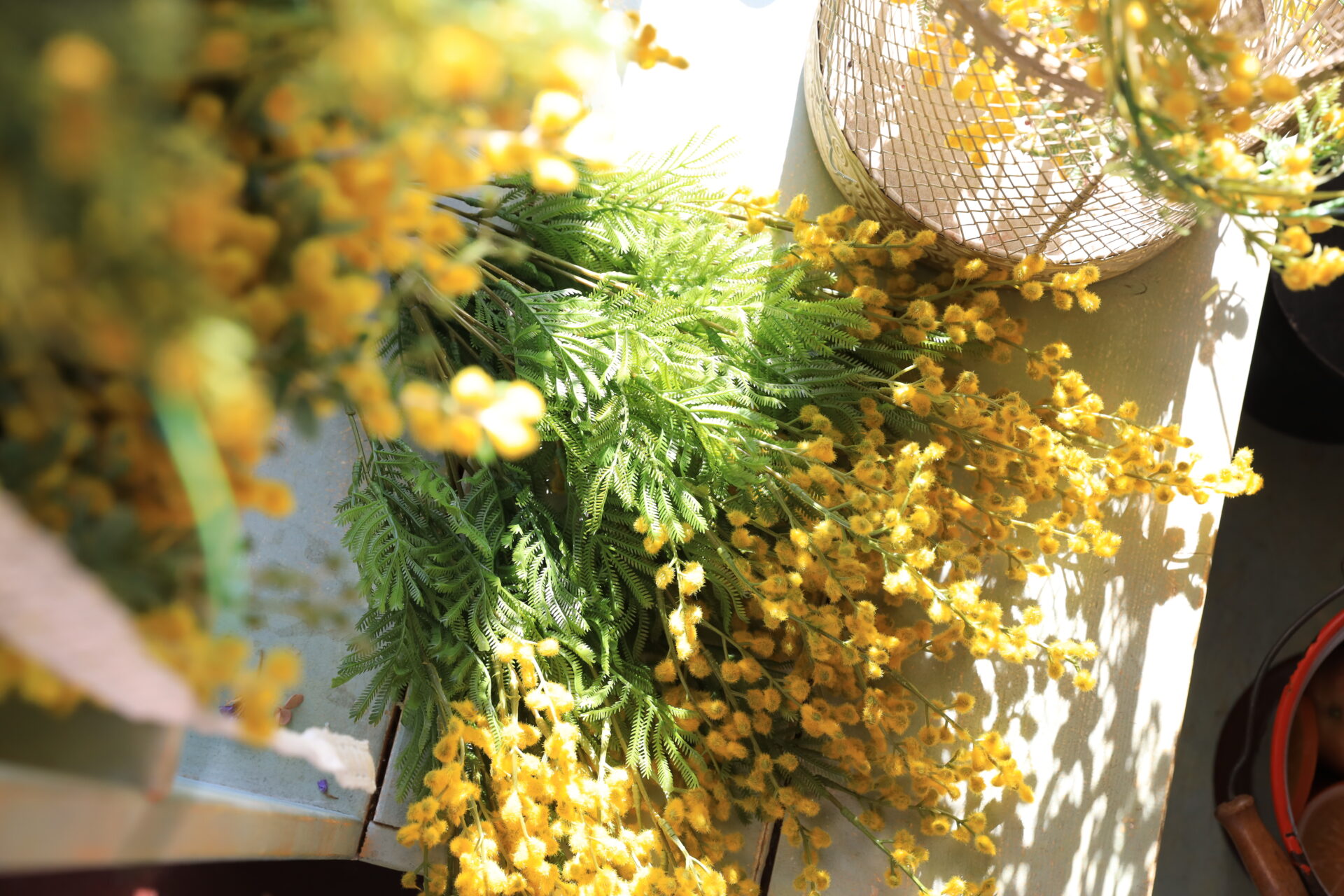 ミモザのシーズンフラワーブース