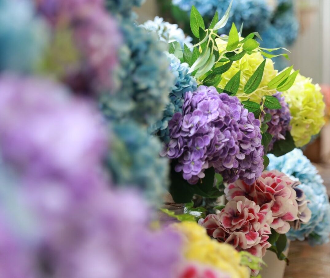 あじさいのシーズンフラワーブース